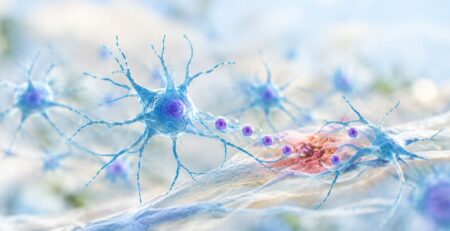 Brain Repair: How Astrocytes Help Rebuild Brain Tissue